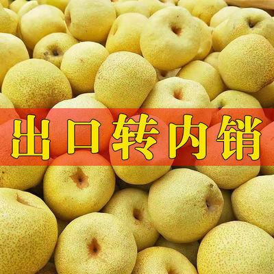 75709/砀山酥梨正宗百年梨树新鲜梨子包邮水果批发酥梨脆甜多汁止咳化痰