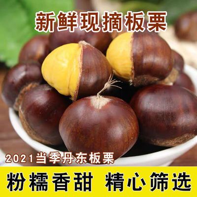 79015/丹东板栗2021年当年新鲜板栗特大个野生甜糯板栗锥子栗毛栗东北栗