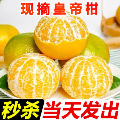 76168/特价广西武鸣皇帝柑新鲜当季整箱水果大果贡黄帝柑橘子沃柑蜜桔