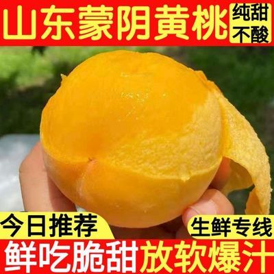 75493/现摘蒙阴黄桃新鲜水果1/10斤桃子毛桃整箱当季应季脆甜黄肉桃罐头【9月17日发完】