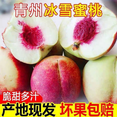 75948/山东青桃子新鲜脆甜正宗蒙阴雪桃水蜜桃冬桃大果孕妇红心现摘现发【9月19日发完】