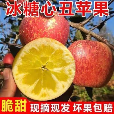 131452/【顺丰包邮 】源自阿克苏脆甜多汁冰糖心红富士苹果水果5/10斤