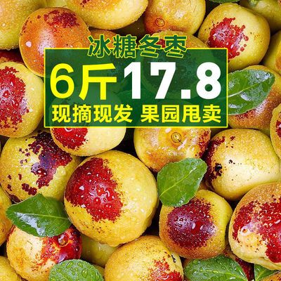77804/山东沾化现摘冬枣新鲜5斤脆甜枣子新鲜大枣子应季水果批发价1/6斤