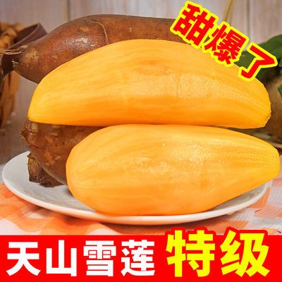 【低糖】正宗云南天山雪莲果脆甜水果应季新鲜水果清甜整箱批发价