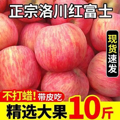 77741/正宗陕西洛川苹果10斤特级红富士脆甜整箱新鲜苹果应季水果批发价
