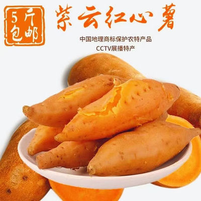 贵州紫云红薯板栗薯黄金香薯小个水果板栗迷你新鲜红心黄心红薯