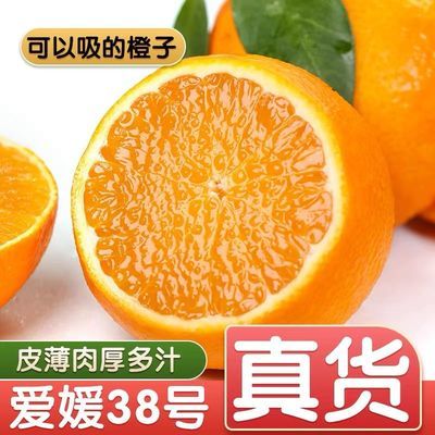 106602/(农家果园直供) 真—爱媛38号果冻橙
