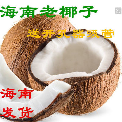 海南老椰子特产新鲜毛椰子去皮椰子原味孕妇煲汤椰奶天然水果包邮