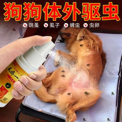 87689/【虱疥克星】驱虫喷雾狗狗猫咪宠物猫狗体外驱虫去虱子一扫而光