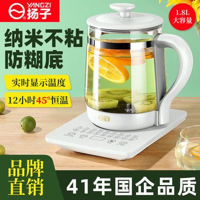 91005/扬子养生壶多功能玻璃全自动烧水花茶壶煮茶器煎药壶电热水壶家用