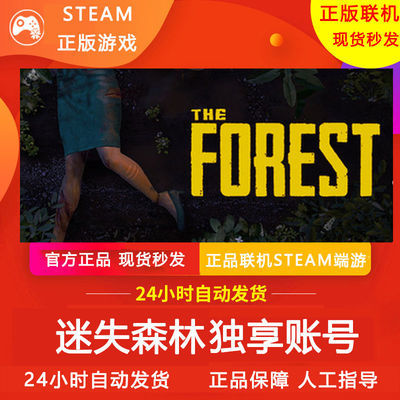 【独享】迷失森林 Steam正版在线PC中文游戏 The Forest 在线代购