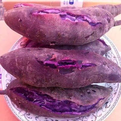 紫薯新鲜农家蜜薯板栗香红沙地薯地瓜糖心蔬菜山芋3斤装