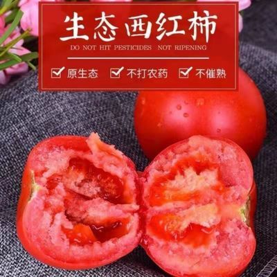 现摘西红柿新鲜水果普罗旺斯沙瓤自然熟农家自种生吃番茄应季包邮