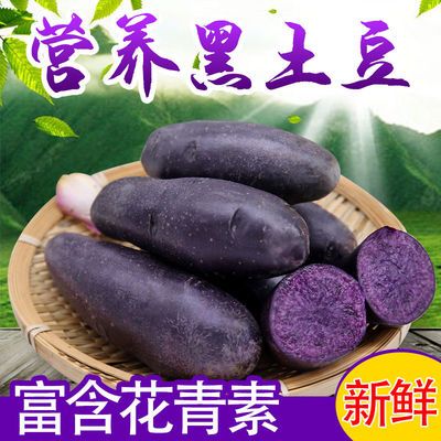 2021新挖新鲜高山紫土豆黑金刚土豆富含花青素黑美人马铃薯蔬菜