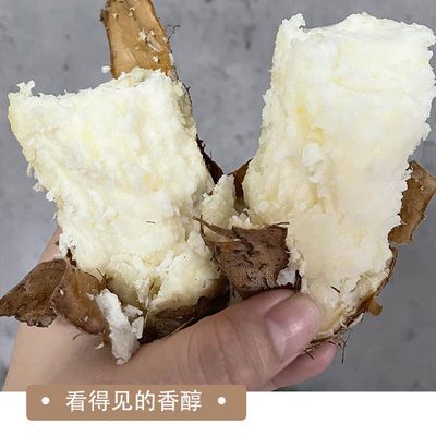 93416/包邮广东化州农家自种新鲜现挖1斤/2斤/5斤毛薯田薯甜薯香粉糯