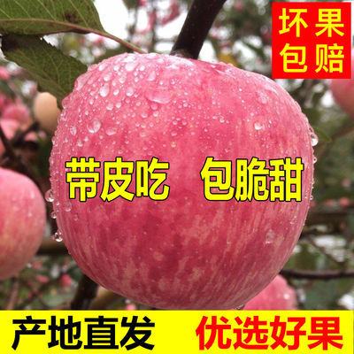 【爆甜】红富士苹果水果批发新鲜应季水果一整箱批发丑苹果冰糖心