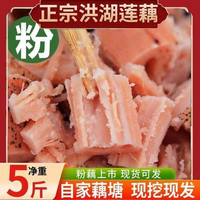 89810/【粉藕秋冬现挖】2021湖北老家洪湖煲汤粉藕新鲜现挖1/3/5斤