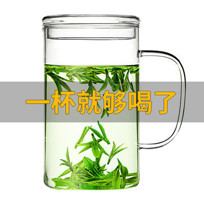 耐高温玻璃杯大容量玻璃茶杯带盖茶水分离杯带过滤把手新款泡茶杯