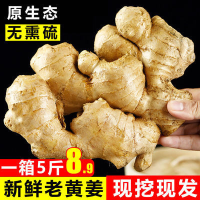 91819/【极速发货】山东新鲜生姜老姜母水洗风干现挖大黄姜非姜仔直销