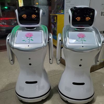 大型人工智能前台迎宾服务机器人商用家用展厅三宝小精灵机器人
