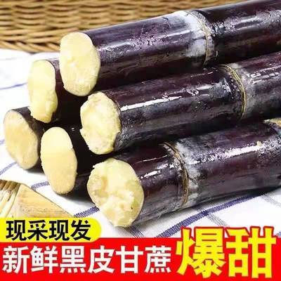 93332/河南正宗黑皮甘蔗新鲜现砍现发脆甜多汁青皮甘蔗当季热带水果