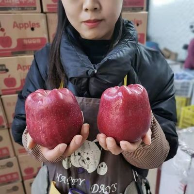 93330/【正宗】甘肃天水花牛苹果蛇果牛油果5/10斤纸箱婴儿粉面粉甜刮泥