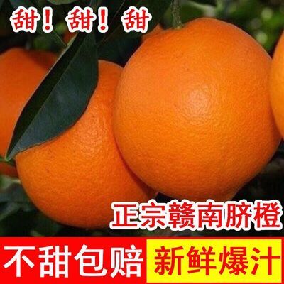 正宗赣南寻乌脐橙新鲜水果产地现摘直发甜橙皮薄多汁10/20斤包邮