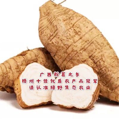 广西特产粉葛新鲜葛根无渣粉葛现挖葛根粉葛根新鲜现挖药食同源