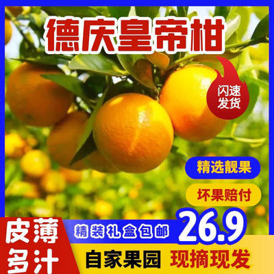 新鲜橘子德庆皇帝柑应季水果正宗贡柑薄皮桔子甜蜜橘金桔沃柑橙子