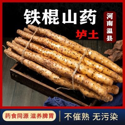 91659/CCTV10专访温县垆土铁棍山药正宗怀山铁棍淮山药铁杆河南焦作特产