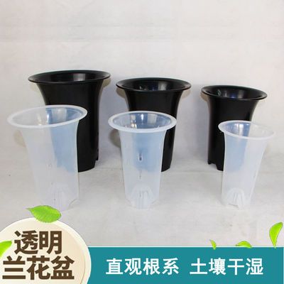 高质量透明兰花盆塑料透气加厚侧孔兰科植物专用盆出口尾单便宜卖