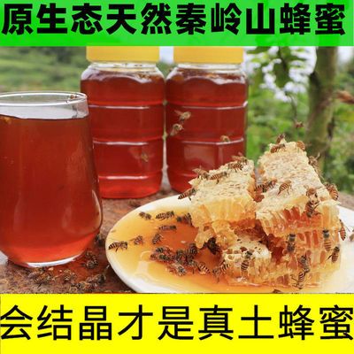 浓香蜂蜜纯正天然野生土蜂蜜 农家自产封盖成熟百花蜜正宗土蜂蜜