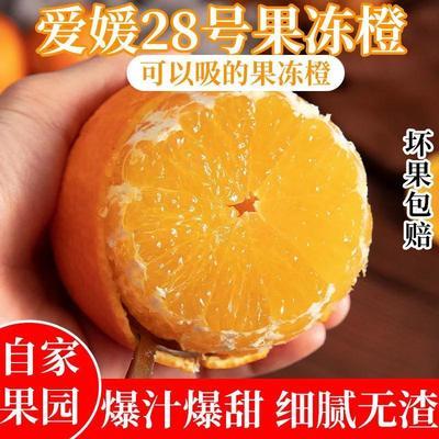 91703/四川爱媛38号果冻橙当季橙子水果新鲜超甜薄皮手剥橙子冰糖橙脐橙