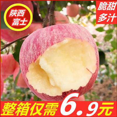 陕西红富士苹果脆甜多汁苹果批发新鲜不打蜡平果应季孕妇水果整箱