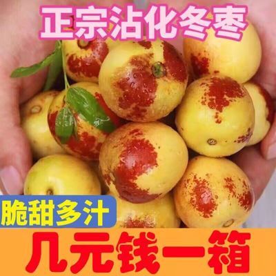 91740/【现货】山东沾化冬枣新鲜脆枣当季大枣整箱鲜枣青枣大果脆甜冬枣