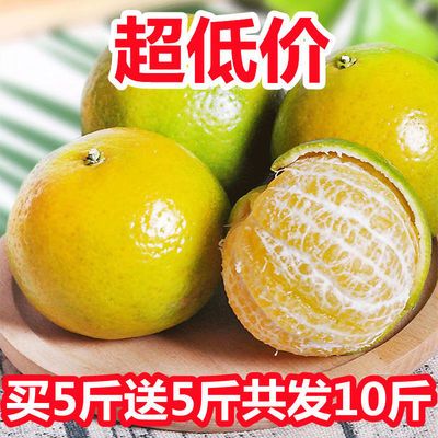 【现摘】广西皇帝柑大果柑橘新鲜水果薄皮桔子橘子沃柑砂糖橘包邮
