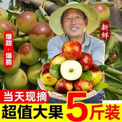93436/21当季现货正宗山东沾化冬枣脆甜孕妇整箱枣子新鲜冰糖心脆枣包邮