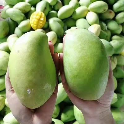 93439/芒果新鲜越南大青芒海南特大水果整箱金煌应季当季青芒果现货包邮
