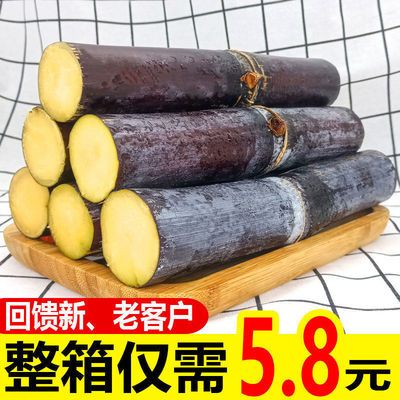 【正宗】广西特产新鲜黑皮甘蔗5/9斤应季水果黑蔗清甜整件批发