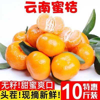 【超底价】橘子无籽蜜桔早熟桔子青皮蜜桔新鲜橘子当季水果柑薄皮