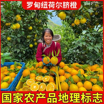 【产地直发】中国长寿之乡贵州罗甸高山纽荷尔脐橙