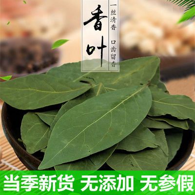 正宗香叶批发无添加新货月桂叶八角卤料香料调料大全食用新鲜散装