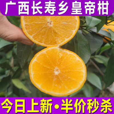 正宗广西皇帝沃柑薄皮贡柑 新鲜现摘当季橘子3/5/9斤砂糖蜜桔子批
