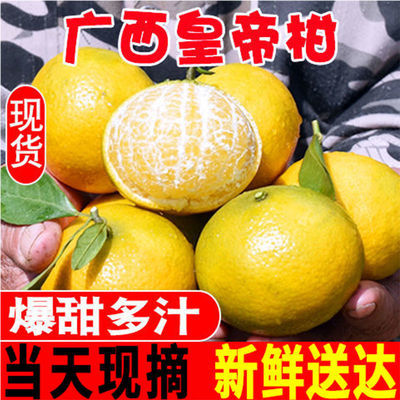 【现货立发】广西正宗皇帝柑大果10斤柑橘新鲜应季水果皮薄多汁