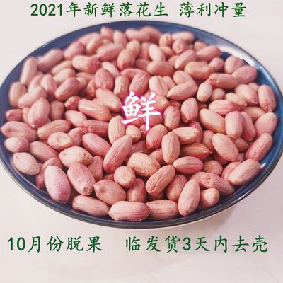 106510/【新店开业,低价冲量】新鲜花生米自产红皮大颗粒花生米散装批发