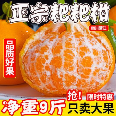 四川春见耙耙柑新鲜超甜橘子应季整箱桔子粑粑干当季水果丑橘特级