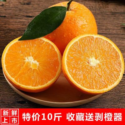 湖北秭归新鲜橙子高山脐橙现摘应季酸甜孕妇水果3/5/9斤