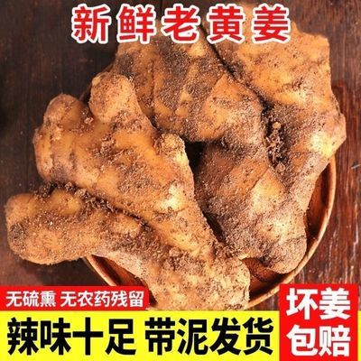 109845/【亏本冲量】山东生姜新鲜大黄姜老姜月子姜生姜整箱生姜批发包邮