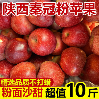 陕西秦冠苹果水果新鲜应季水果香甜粉面刮泥丑苹果水果批发一整箱