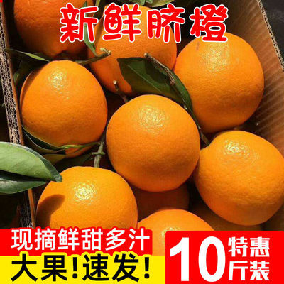 江西赣南脐橙10斤橙子新鲜应当季水果大果冻甜手剥橙整箱包邮1斤